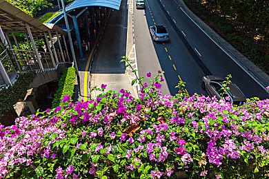 《F1 24》将于下月底正式发售 多版本预购信息公布